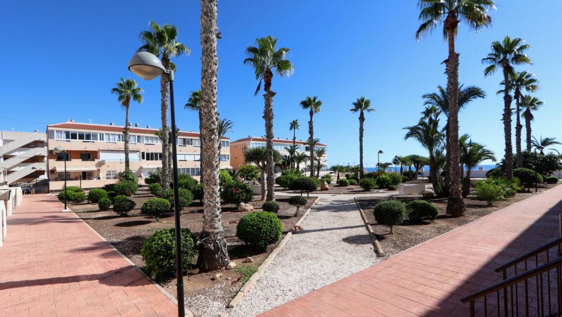 Sale - Apartment - Orihuela - Mil Palmeras