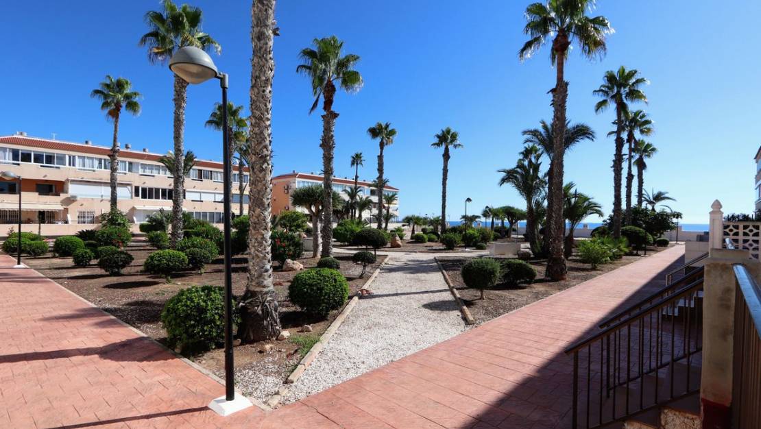 Sale - Apartment - Orihuela - Mil Palmeras