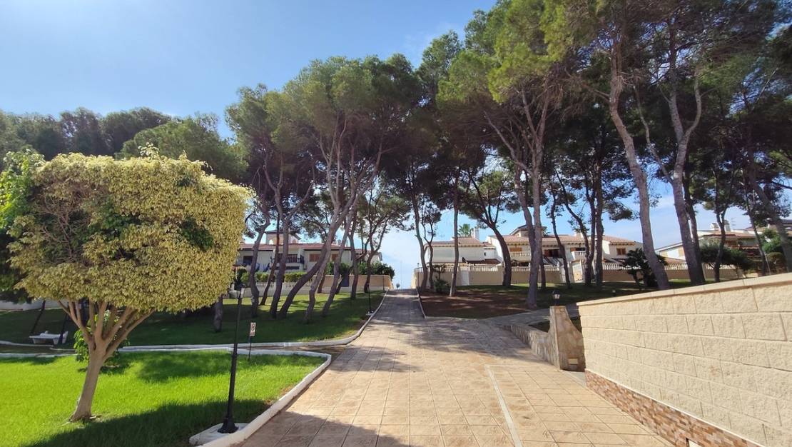 Sale - Apartment - Orihuela - Mil Palmeras