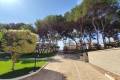 Sale - Apartment - Orihuela - Mil Palmeras