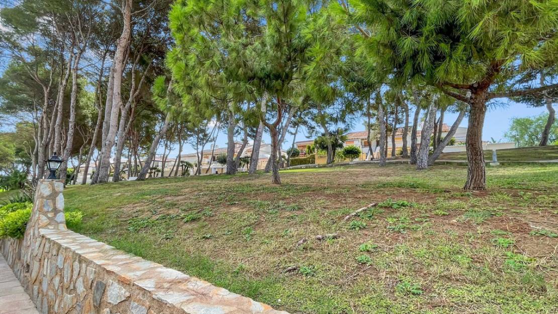 Sale - Apartment - Orihuela - Mil Palmeras