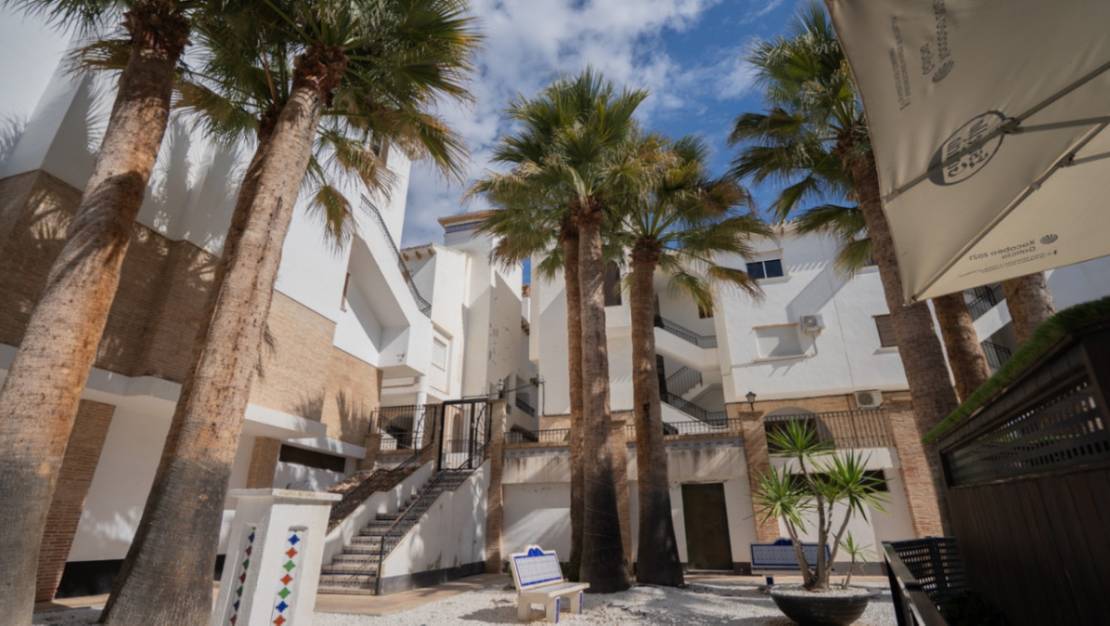 Sale - Apartment - Orihuela - Orihuela Centro