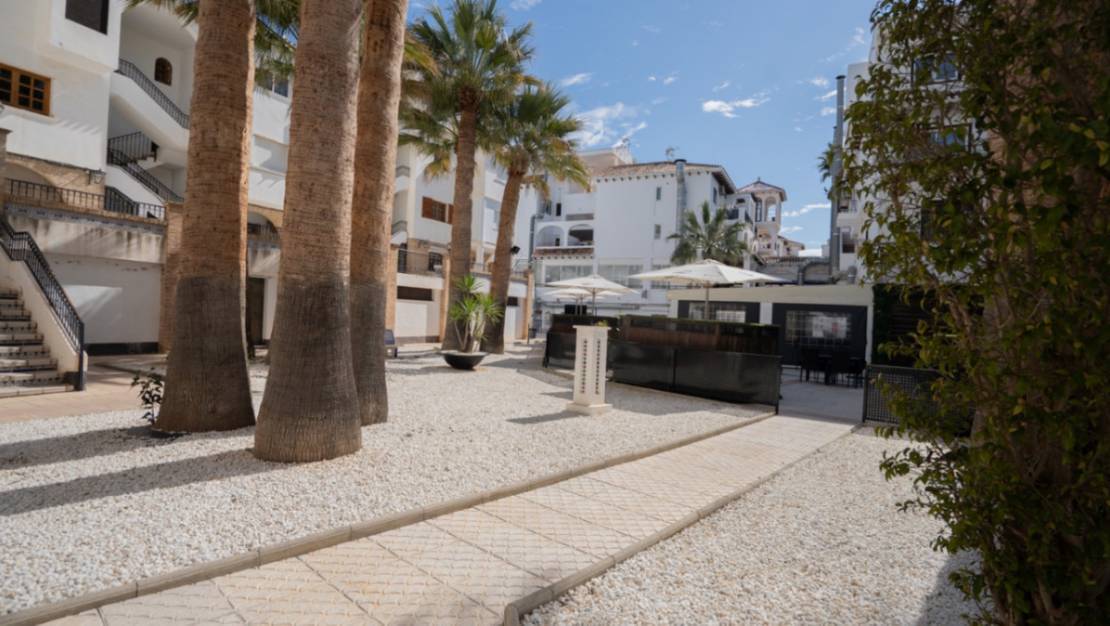 Sale - Apartment - Orihuela - Orihuela Centro