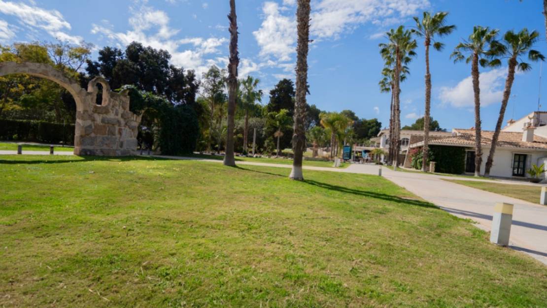 Sale - Apartment - Orihuela - Orihuela Centro