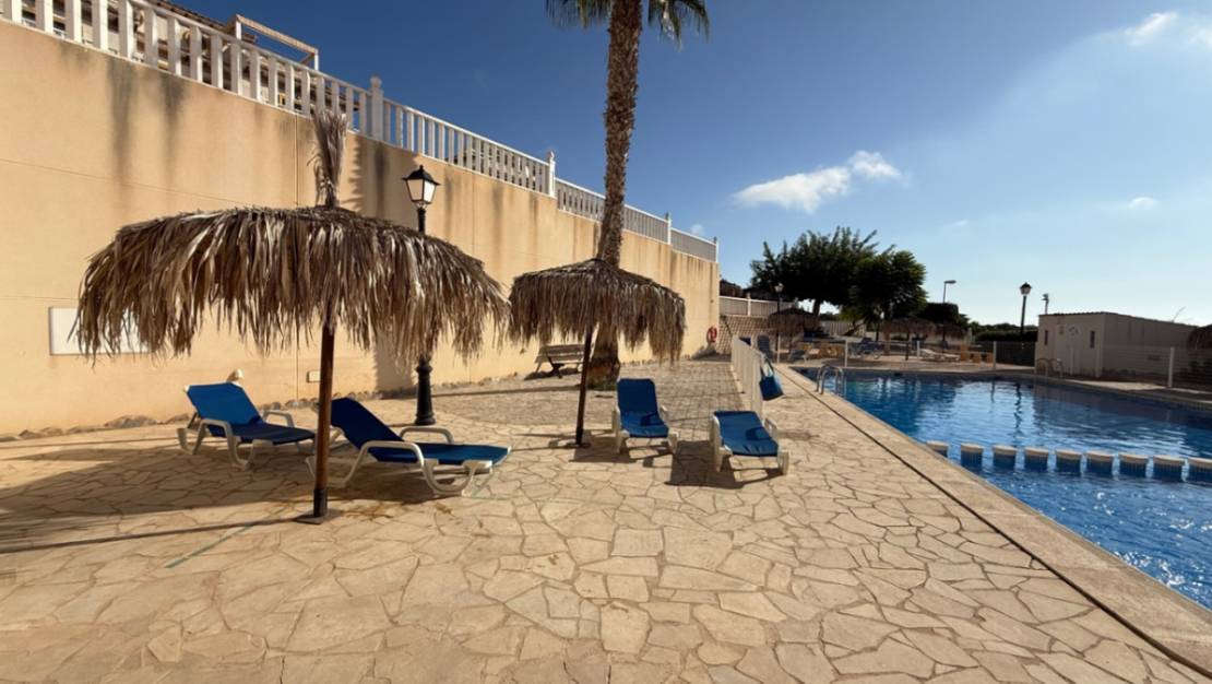 Sale - Apartment - Orihuela - Orihuela Centro