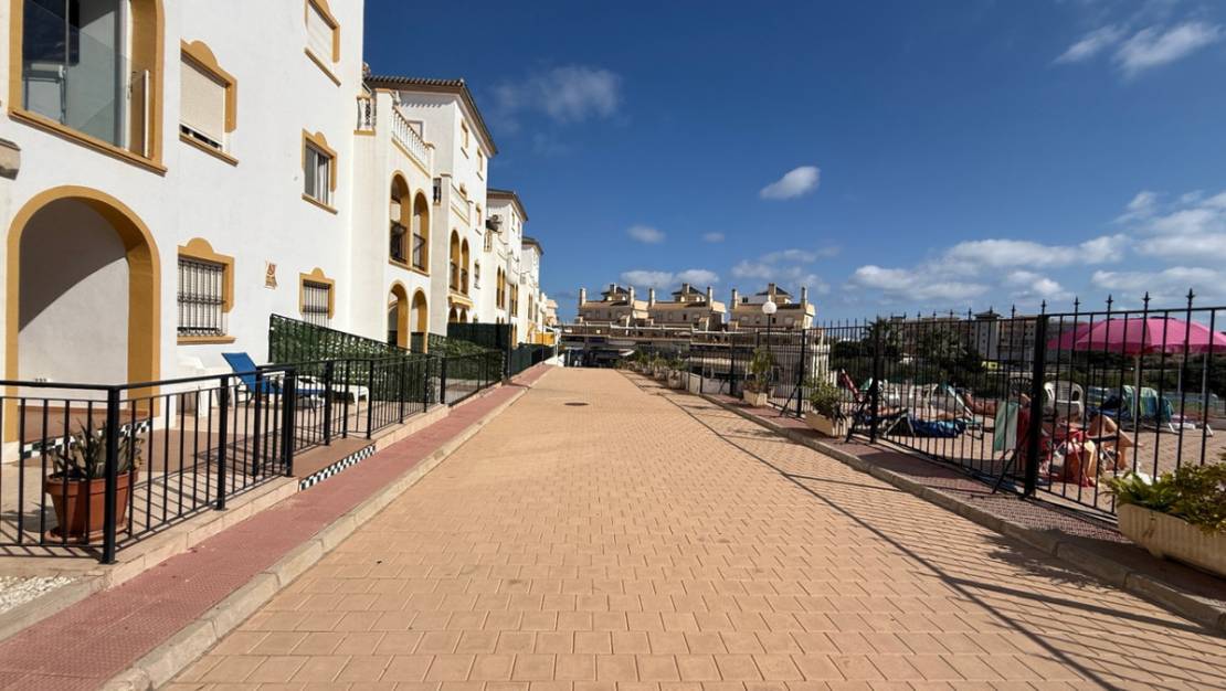 Sale - Apartment - Orihuela - Orihuela Centro