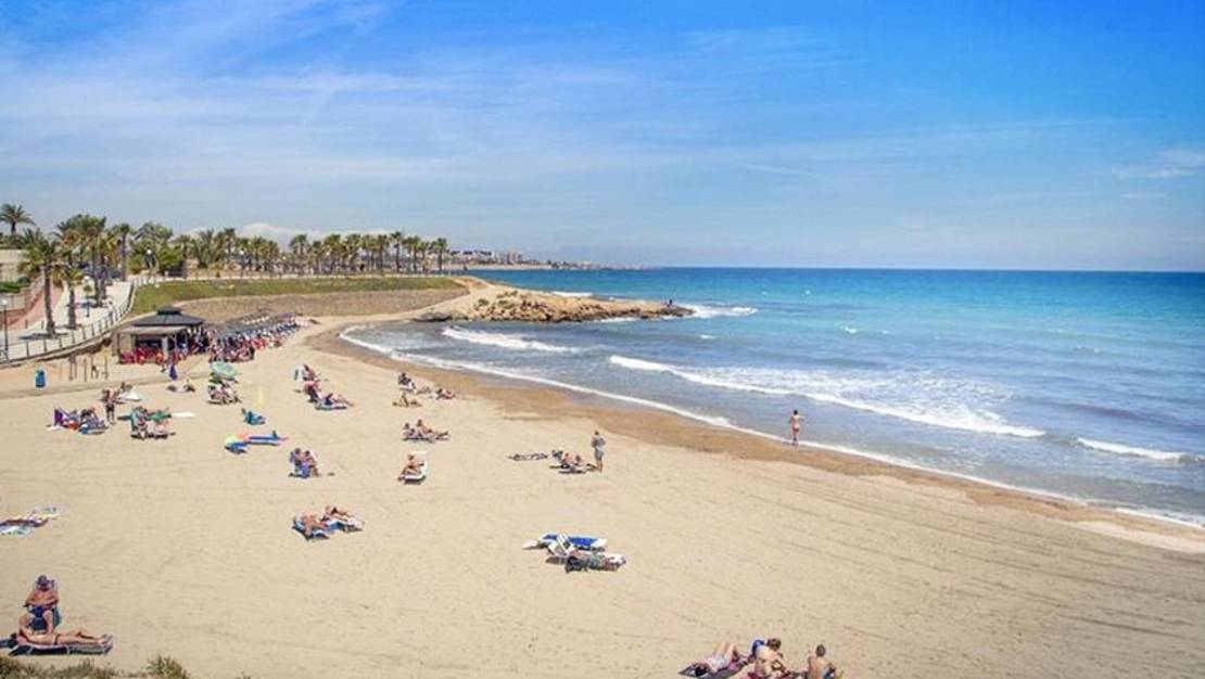 Sale - Apartment - Orihuela - Orihuela Centro