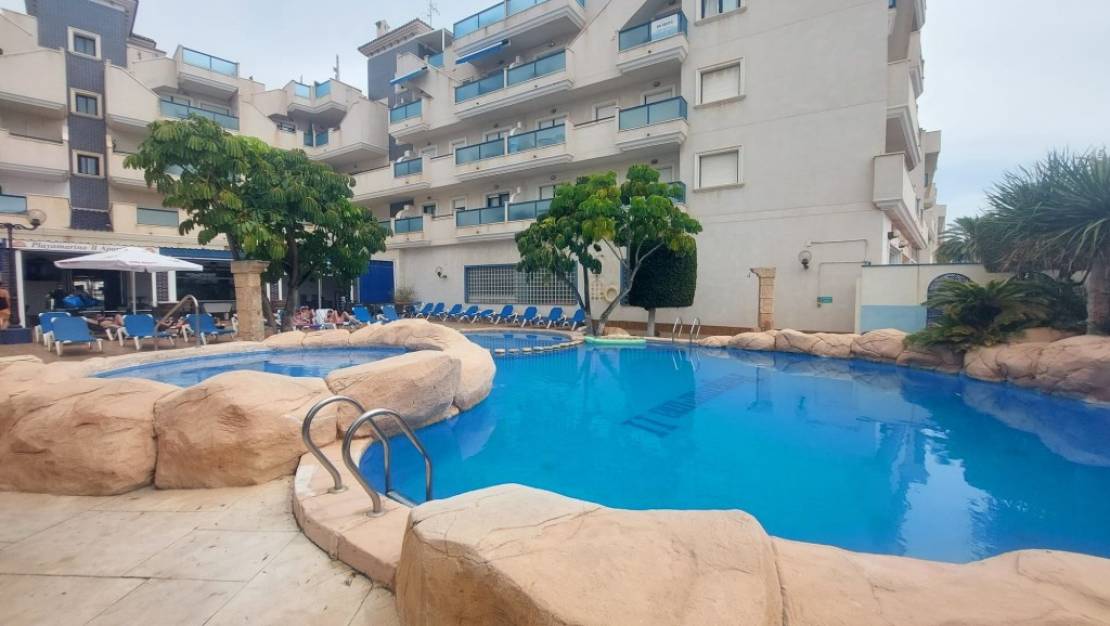 Sale - Apartment - Orihuela - Orihuela Centro