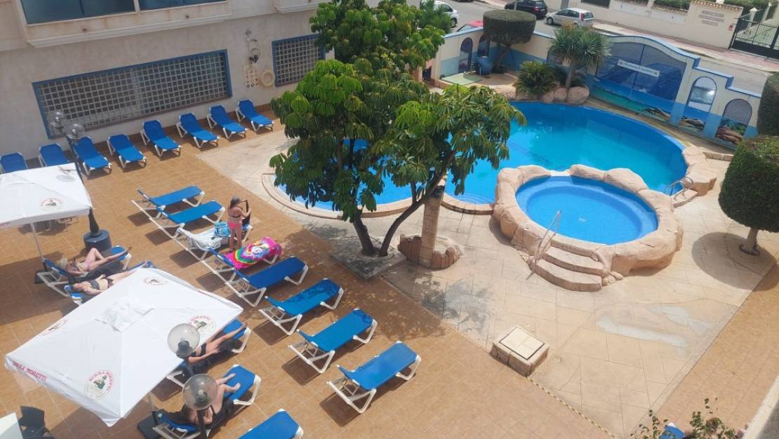 Sale - Apartment - Orihuela - Orihuela Centro