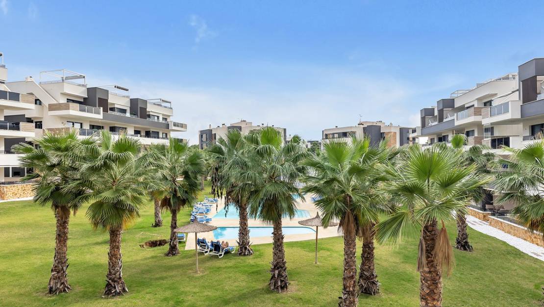 Sale - Apartment - Orihuela - Orihuela Centro