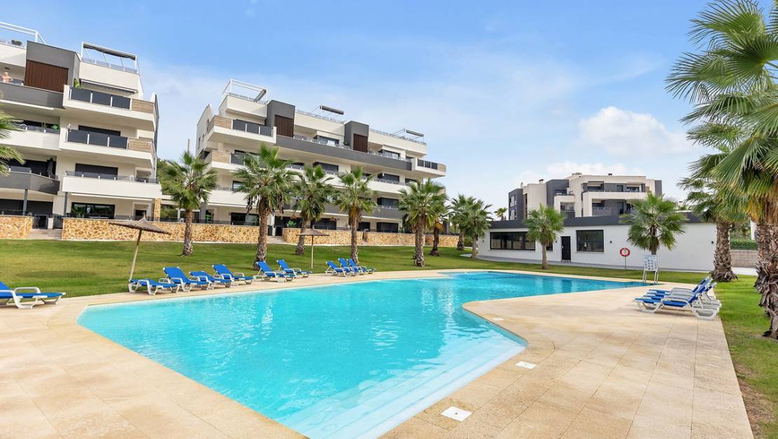 Sale - Apartment - Orihuela - Orihuela Centro