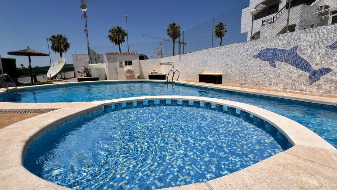 Sale - Apartment - Orihuela - Orihuela Centro