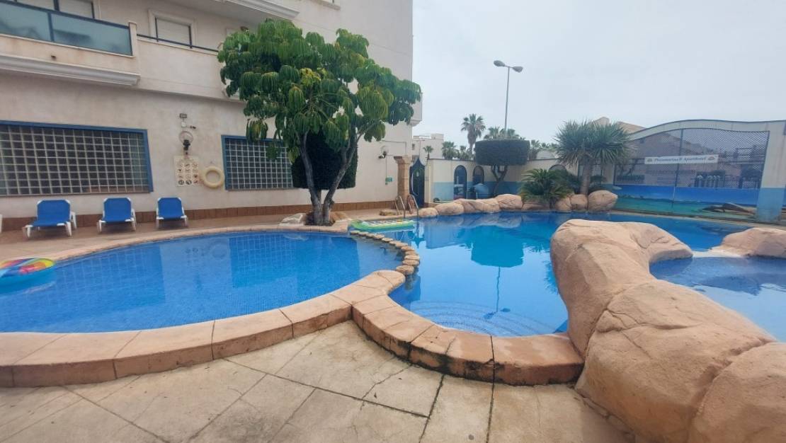 Sale - Apartment - Orihuela - Orihuela Centro