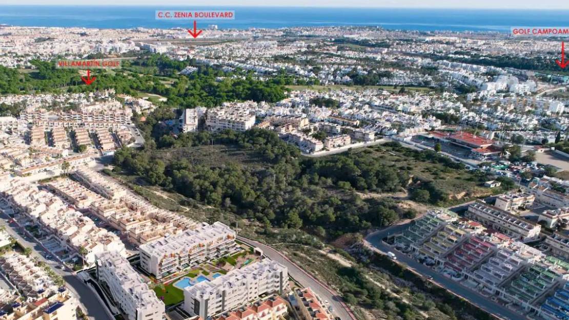 Sale - Apartment - Orihuela - Orihuela Centro