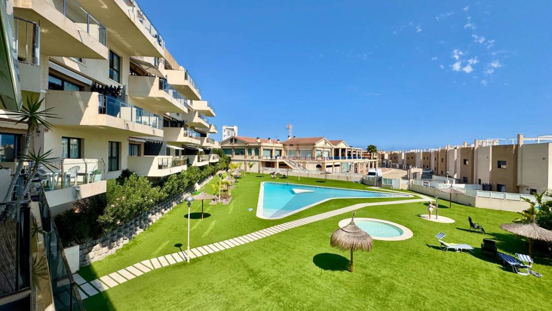 Sale - Apartment - Orihuela - Orihuela Centro