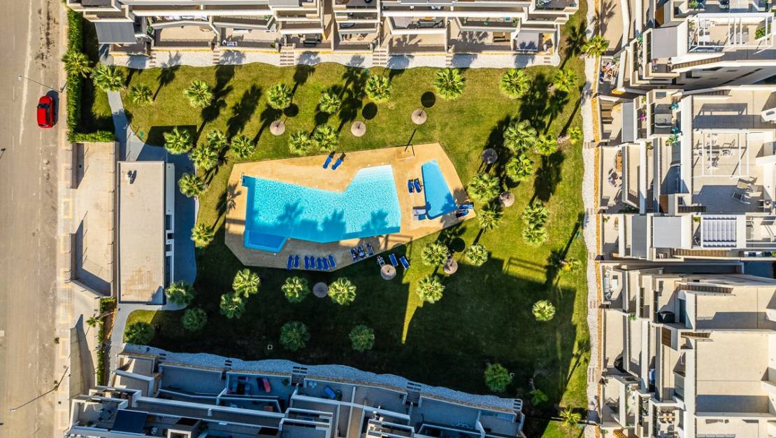 Sale - Apartment - Orihuela - Orihuela Costa