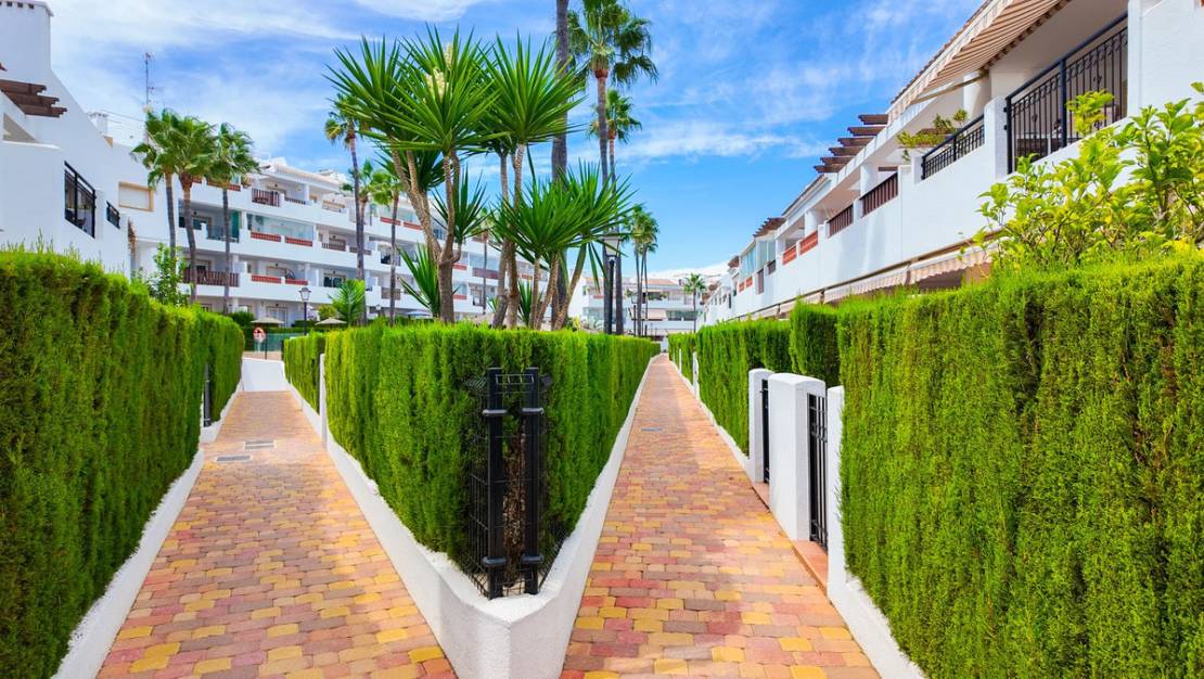Sale - Apartment - Orihuela - Orihuela Costa
