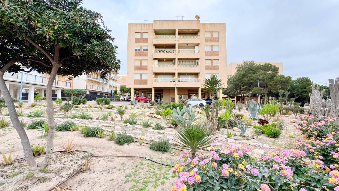 Sale - Apartment - Orihuela - Orihuela Costa