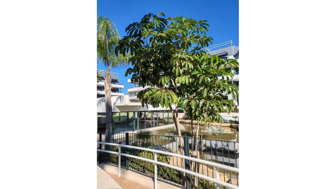 Sale - Apartment - Orihuela - Playa Flamenca