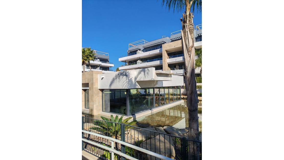 Sale - Apartment - Orihuela - Playa Flamenca