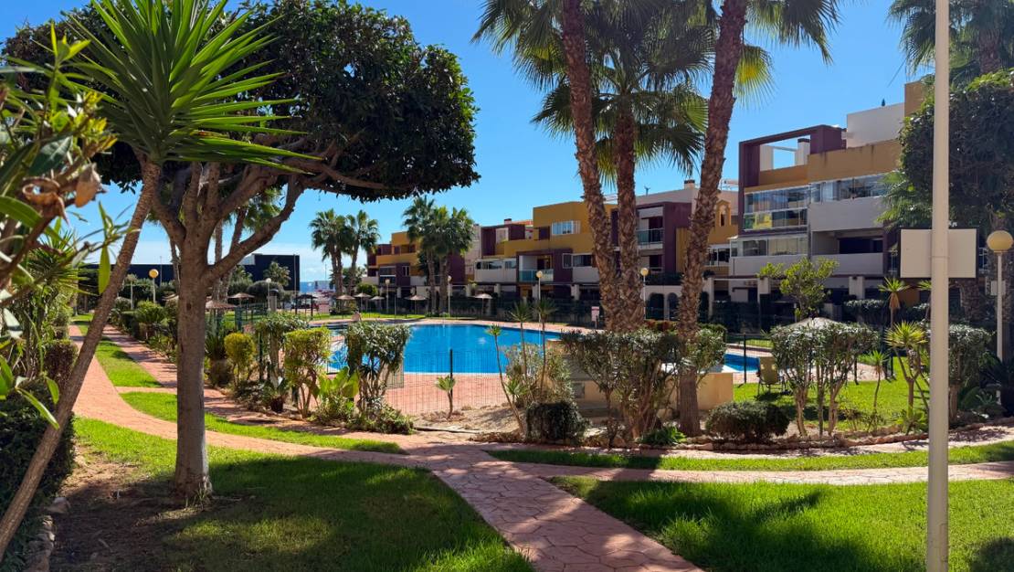 Sale - Apartment - Orihuela - Playa Flamenca