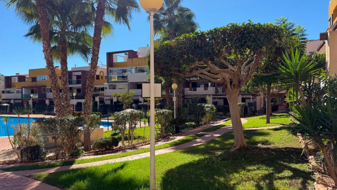 Sale - Apartment - Orihuela - Playa Flamenca