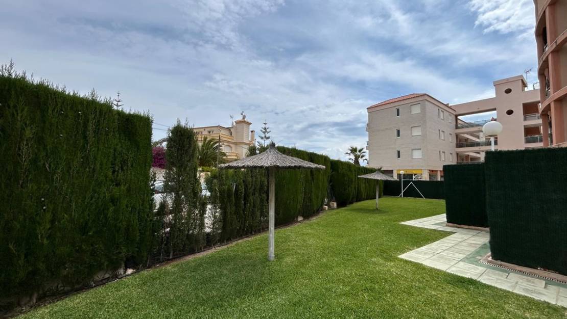 Sale - Apartment - Orihuela - Playa Flamenca