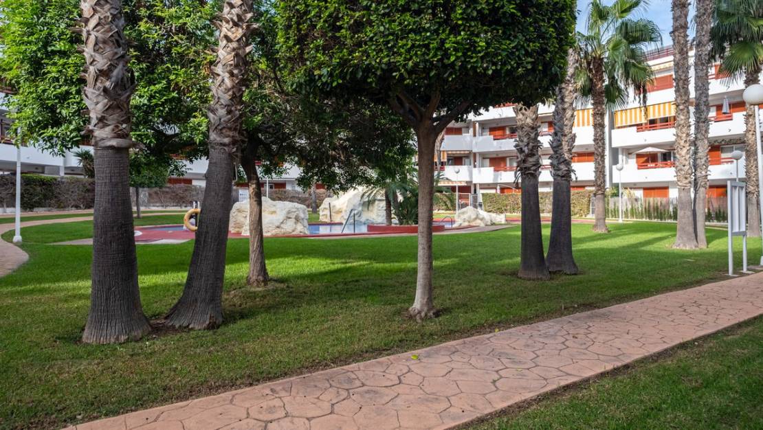 Sale - Apartment - Orihuela - Playa Flamenca