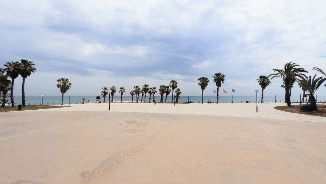 Sale - Apartment - Orihuela - Playa Flamenca