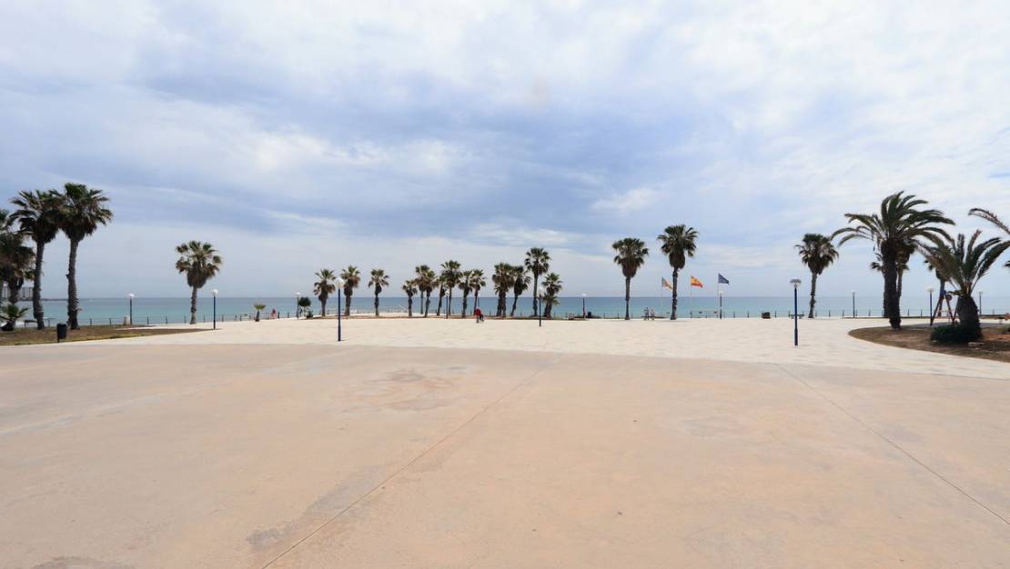 Sale - Apartment - Orihuela - Playa Flamenca