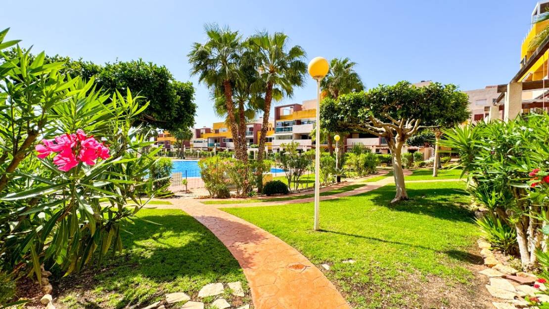 Sale - Apartment - Orihuela - Playa Flamenca