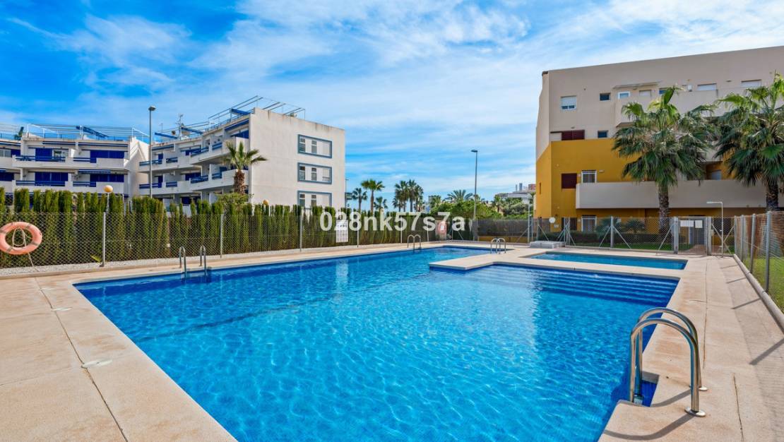 Sale - Apartment - Orihuela - Playa Flamenca
