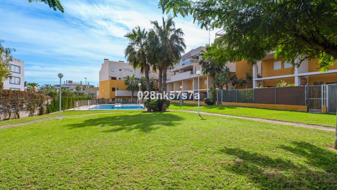 Sale - Apartment - Orihuela - Playa Flamenca