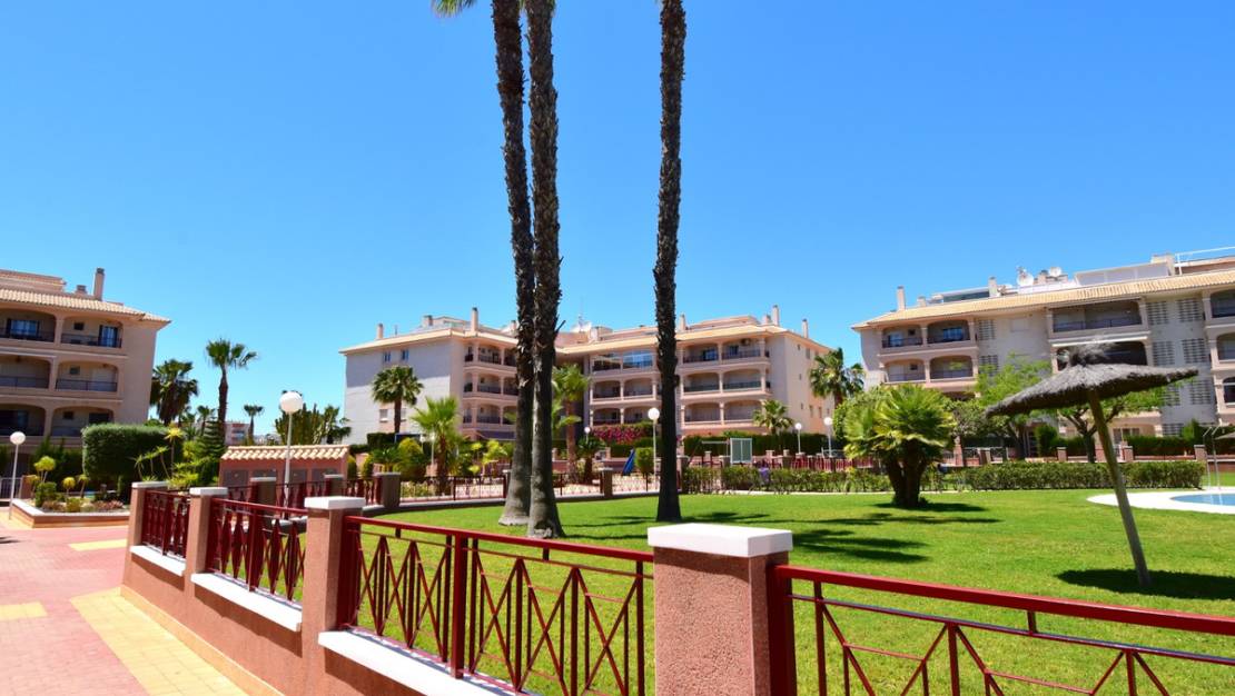 Sale - Apartment - Orihuela - Playa Flamenca