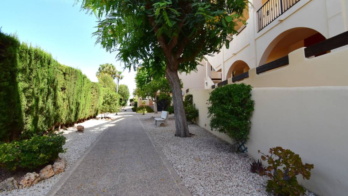 Sale - Apartment - Orihuela - Playa Flamenca