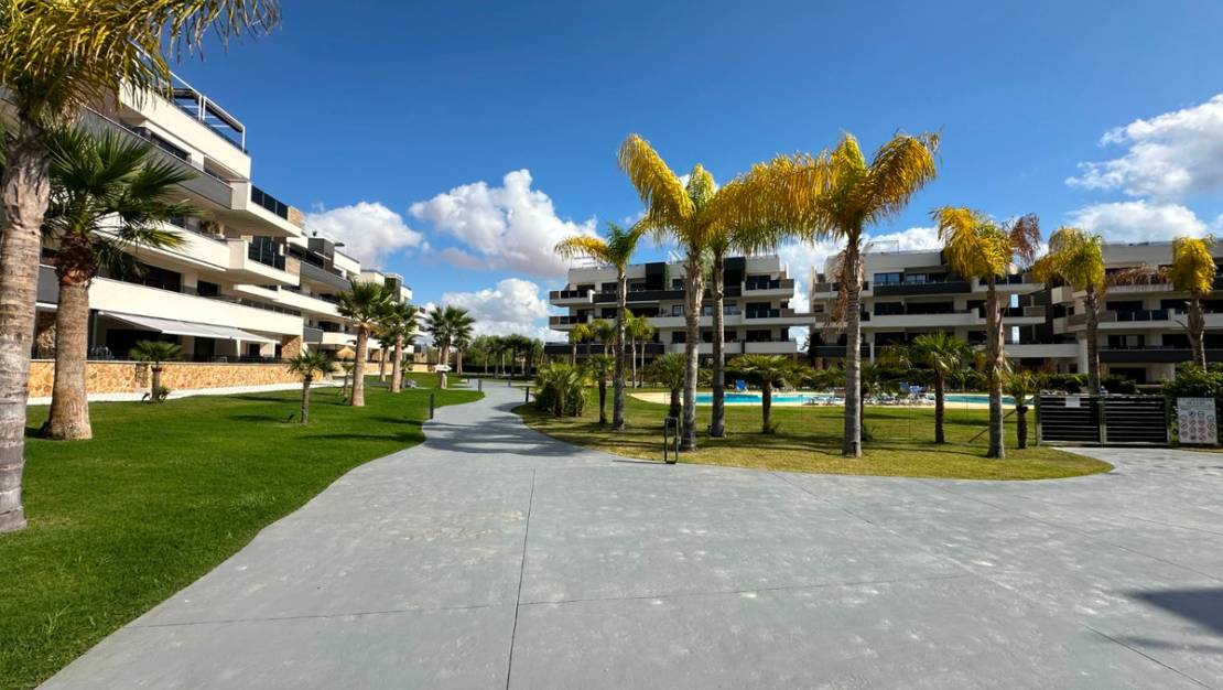 Sale - Apartment - Orihuela - Playa Flamenca