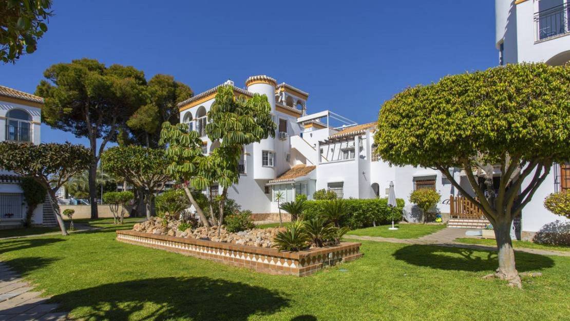 Sale - Apartment - Orihuela - Playa Flamenca
