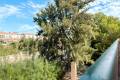 Sale - Apartment - Orihuela - Playa Flamenca