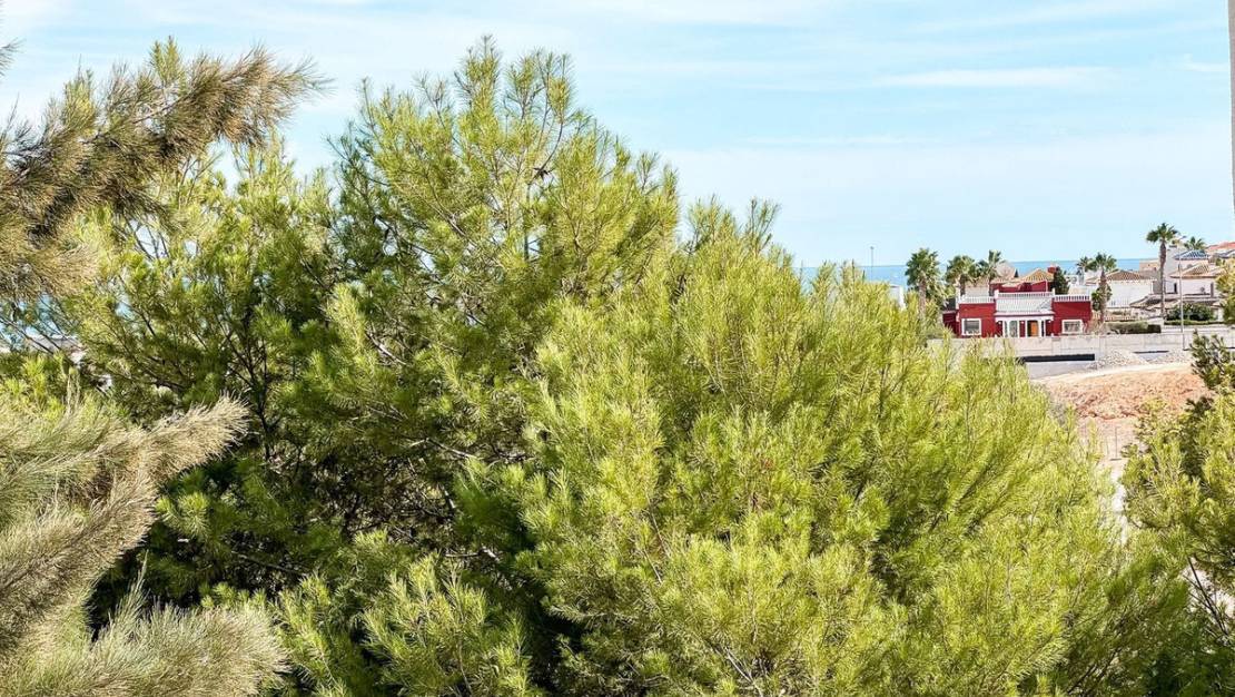 Sale - Apartment - Orihuela - Playa Flamenca