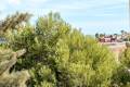 Sale - Apartment - Orihuela - Playa Flamenca
