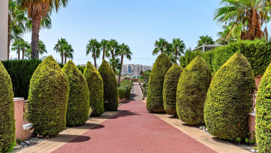 Sale - Apartment - Orihuela - Playa Flamenca
