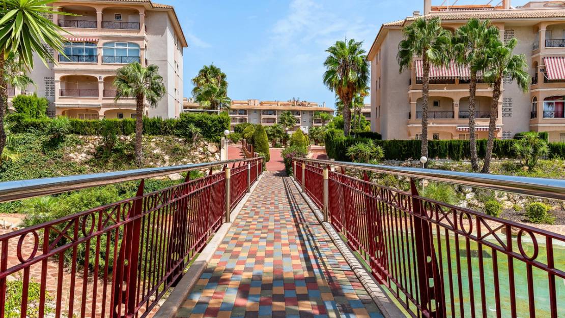 Sale - Apartment - Orihuela - Playa Flamenca