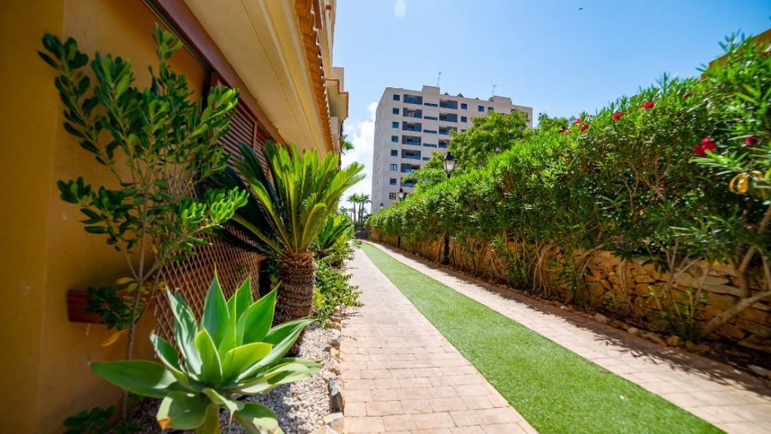 Sale - Apartment - Orihuela - Punta Prima
