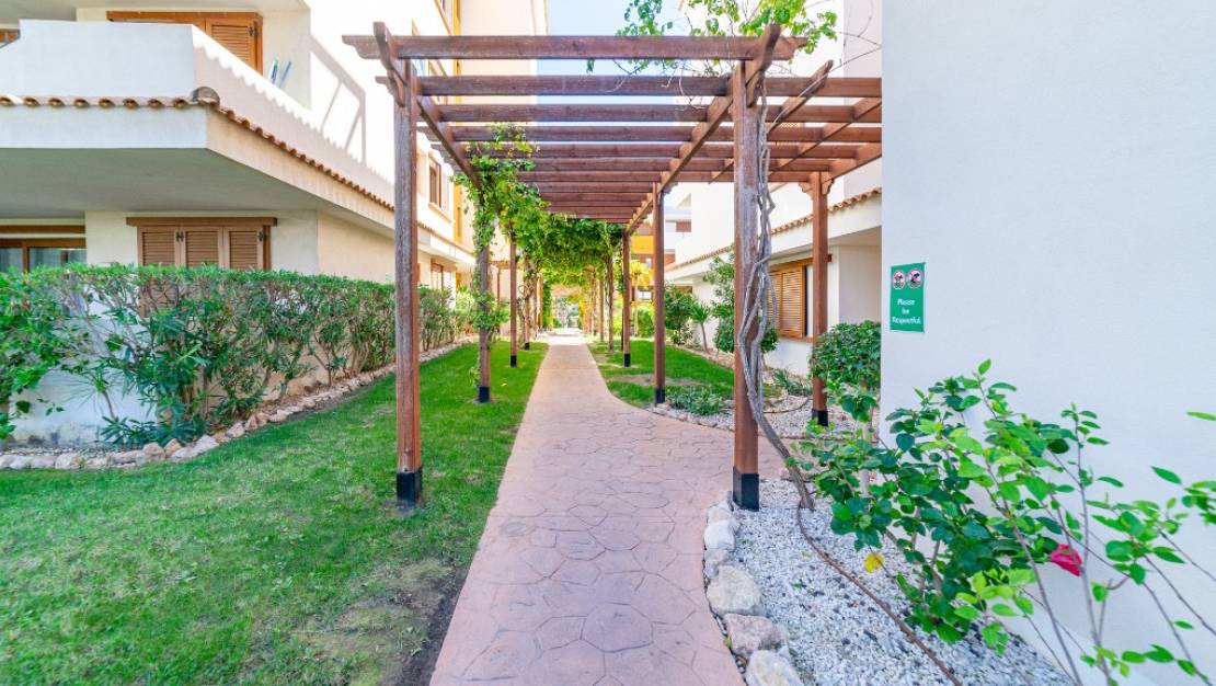 Sale - Apartment - Orihuela - Punta Prima