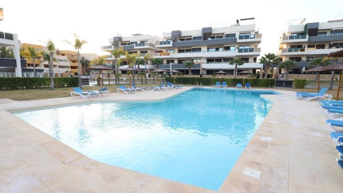 Sale - Apartment - Orihuela - Punta Prima