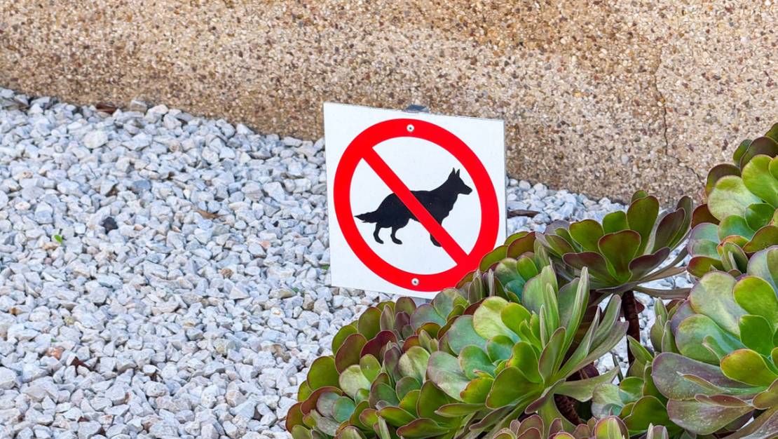 Sale - Apartment - Orihuela - Punta Prima