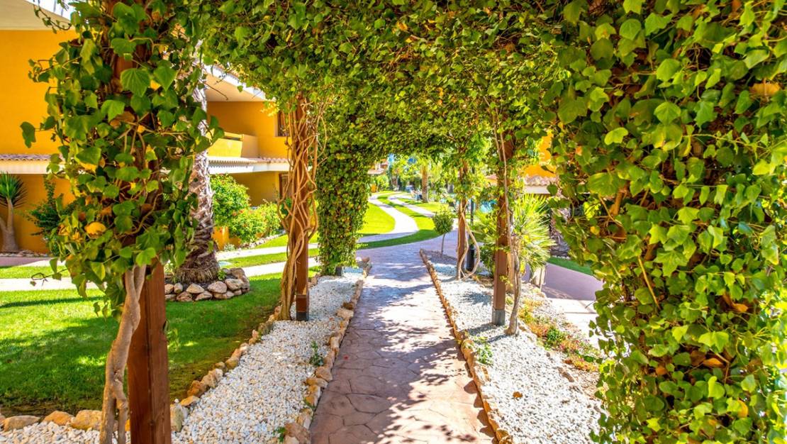 Sale - Apartment - Orihuela - Punta Prima