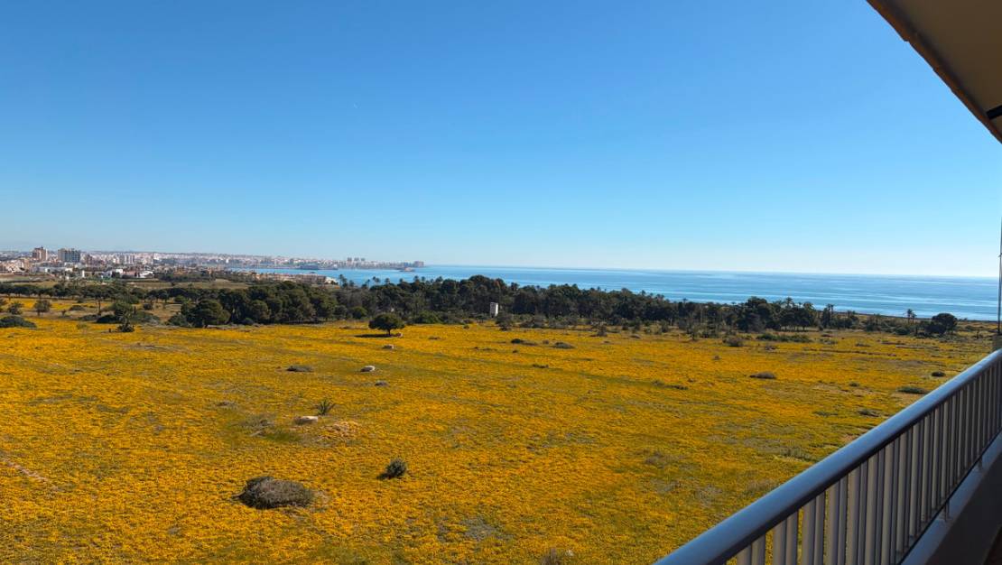 Sale - Apartment - Orihuela - Punta Prima