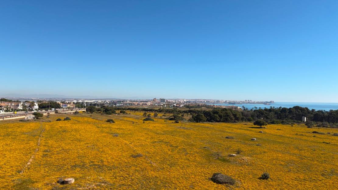 Sale - Apartment - Orihuela - Punta Prima