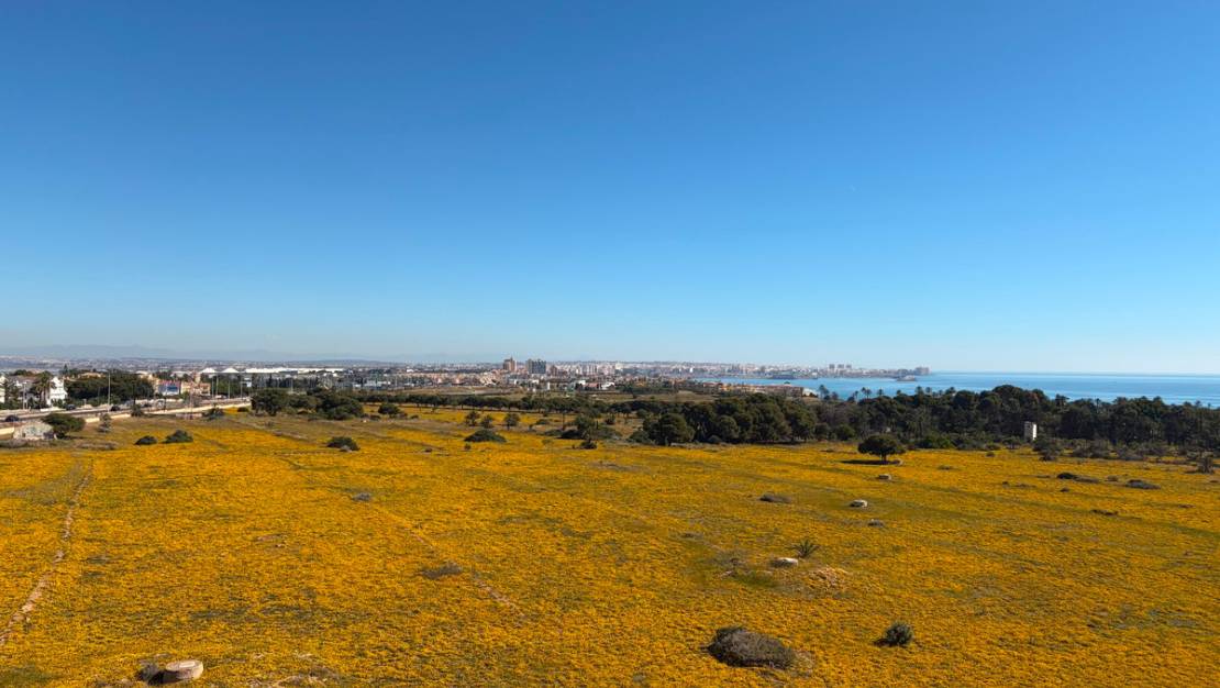 Sale - Apartment - Orihuela - Punta Prima